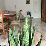 Flower's